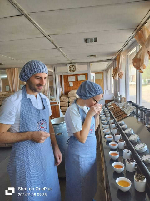 Darjeeling kaufen wie ein Profi: Aroma, Erntezeit & Zubereitung erklärt