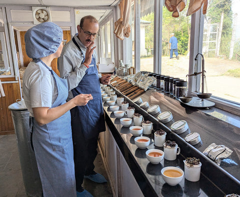 Darjeeling kaufen wie ein Profi: Aroma, Erntezeit & Zubereitung erklärt