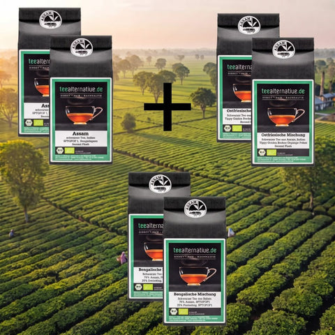 Tee-Auswahlpaket mit vier Packungen teaternative.de, verschiedene Teemischungen