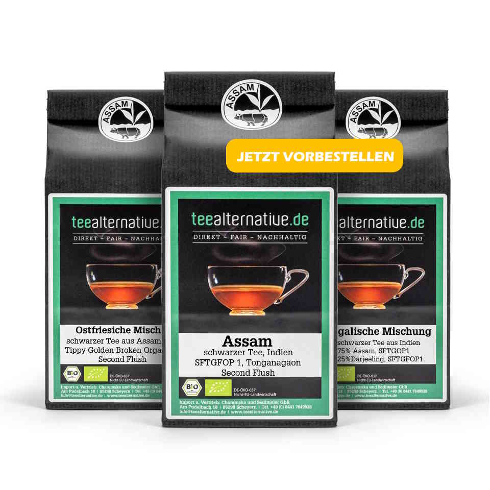 Tüte_Tasting_Set_klein neu Bio-Trio, Assam-Raritäten 2025 – Bild 1